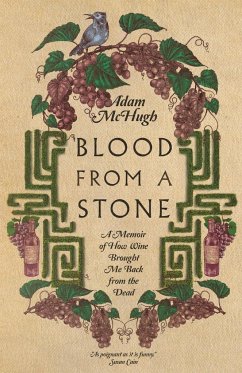 Blood from a Stone - McHugh, Adam S