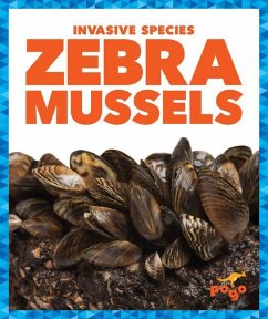 Zebra Mussels - Klepeis, Alicia Z