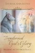 Transformed into God's Glory - Bild 1