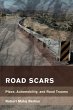 Road Scars - Bild 1