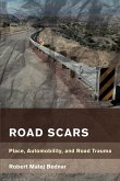 Road Scars: Place, Automobility, and Road Trauma