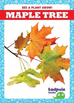 Maple Tree - Sterling, Charlie W