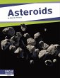Asteroids - Bild 1