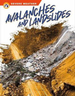Avalanches and Landslides - Mitchell, K. S.
