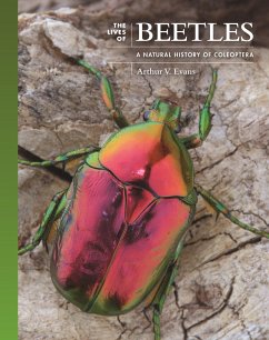 The Lives of Beetles - Evans, Arthur V.