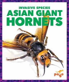 Asian Giant Hornets - Klepeis, Alicia Z