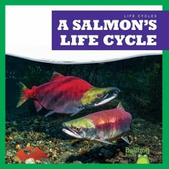 A Salmon's Life Cycle - Rice, Jamie