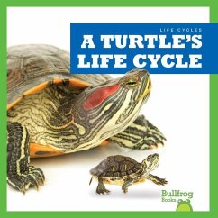 Cover A Turtle's Life Cycle