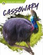 Cassowary - Bild 1