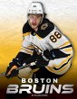 Boston Bruins - Bild 1
