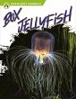 Box Jellyfish - Bild 1