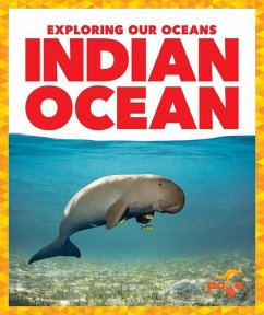 Indian Ocean - Toolen, Avery