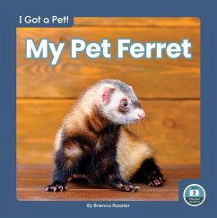 My Pet Ferret - Rossiter, Brienna