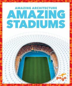 Amazing Stadiums - Amin, Anita Nahta