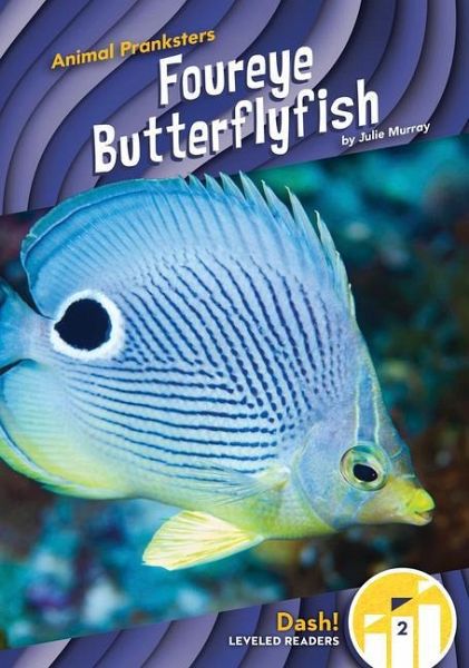 Foureye Butterflyfish Foureye Butterflyfish