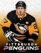 Pittsburgh Penguins - Bild 1
