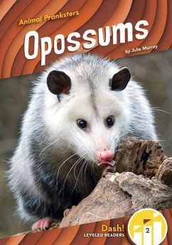 Opossums - Murray, Julie