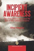 Incipient Awareness: The First World War and the End of the Ottoman Empire