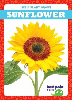 Sunflower - Sterling, Charlie W