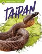 Taipan - Bild 1