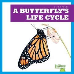 A Butterfly's Life Cycle - Rice, Jamie