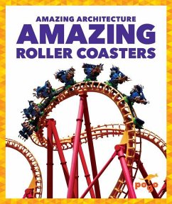 Amazing Roller Coasters - Amin, Anita Nahta