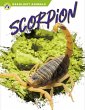 Scorpion - Bild 1