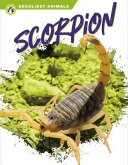 Deadliest Animals: Scorpion
