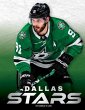 Dallas Stars - Bild 1