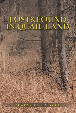 Cover Lost&Found in Quail Land