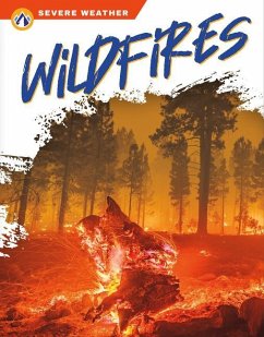 Wildfires - Ransom, Candice