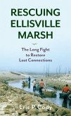 Rescuing Ellisville Marsh: The Long Fight to Restore Lost Connections
