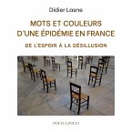 Mots et couleurs d'une épidémie en France (eBook, ePUB)