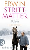 Flikka (eBook, ePUB)