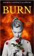 Burn (The Burn Series) (eBook, ePUB) - Bild 1