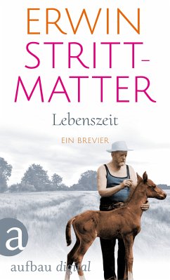 Lebenszeit (eBook, ePUB) - Strittmatter, Erwin