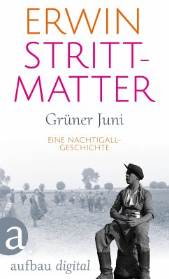 Grüner Juni (eBook, ePUB) - Strittmatter, Erwin