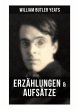 W.B. Yeats: Erzählungen & Aufsätze - Bild 1