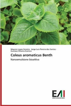 Coleus aromaticus Benth - Ferreira, Maycon Lopes;dos Santos, Jorge Luis Pereira;Everton, Gustavo Oliveira