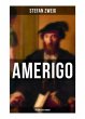 Amerigo: Historischer Roman - Bild 1