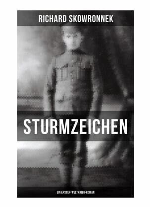 Sturmzeichen (Ein Erster-Weltkrieg-Roman) Sturmzeichen (Ein Erster-Weltkrieg-Roman)
