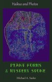 Haikus and Photos: Plant Forms and Mystery Stone (Shenandoan Stone: Haikus & Photos, #5) (eBook, ePUB)