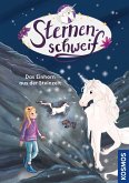 Das Einhorn aus der Steinzeit / Sternenschweif Bd.73
