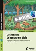 Lernstationen: Lebensraum Wald (eBook, PDF)