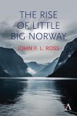 The Rise of Little Big Norway (eBook, PDF)