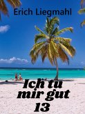 Ich tu mir gut 13 (eBook, ePUB)