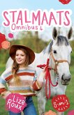 Stalmaats omnibus 4 (Boek 16-20) (eBook, ePUB)