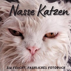 Nasse Katzen