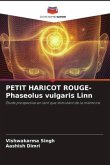 PETIT HARICOT ROUGE- Phaseolus vulgaris Linn