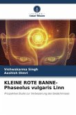 KLEINE ROTE BANNE- Phaseolus vulgaris Linn